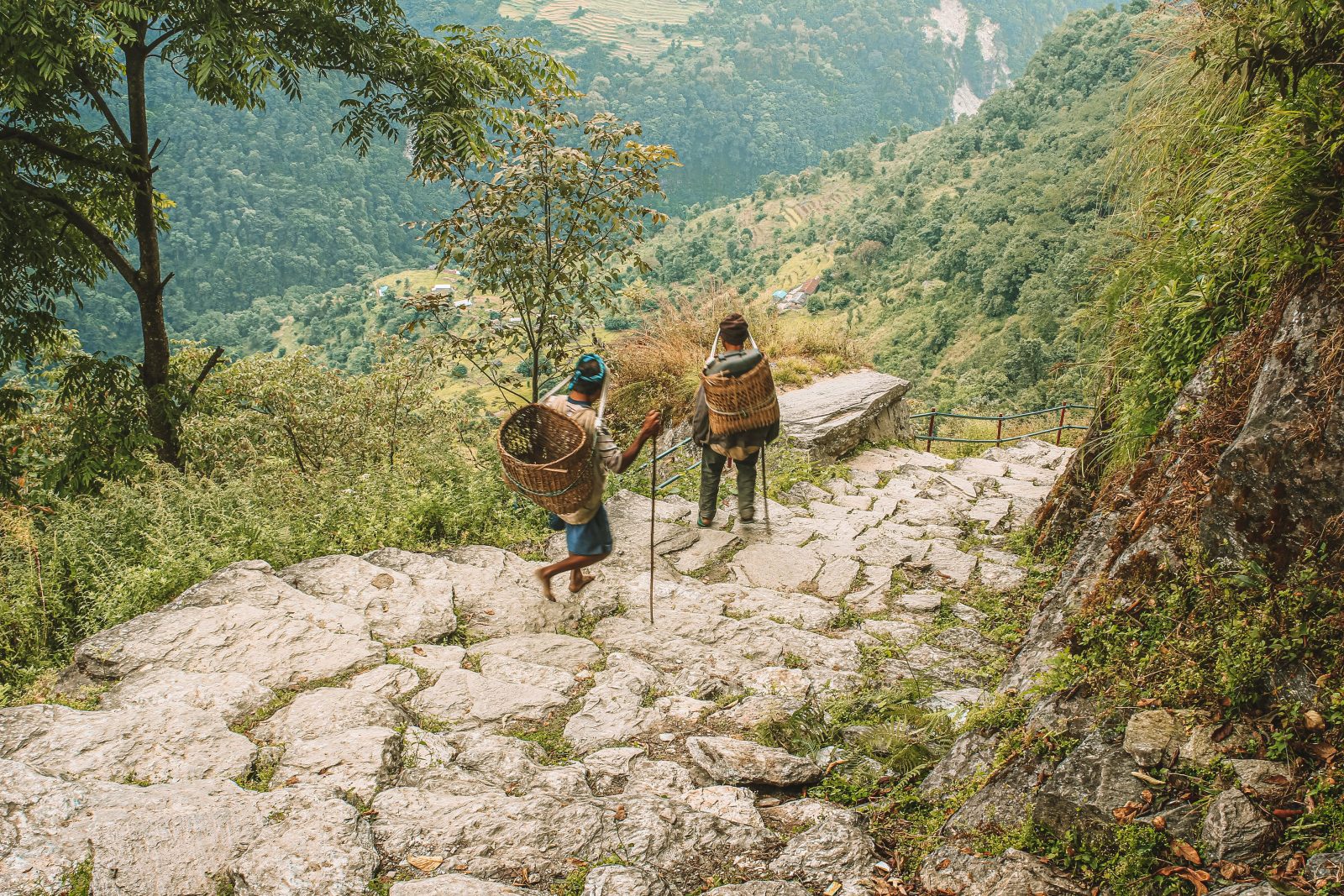 Doko basket and Namlo strap, symbols of Nepali farming honored by Doko Namlo Kishan Ghar
